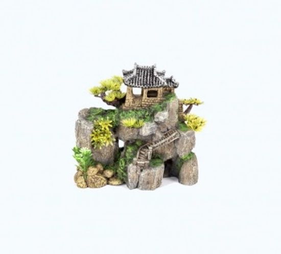 Picture of AD CASA COREANA