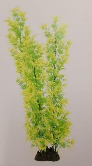 Εικόνα της AD HIGH PLANT GREEN/YELLOW