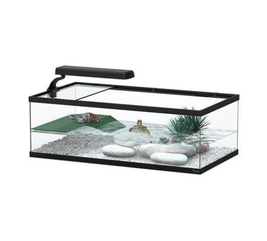 Εικόνα της Turtle tank Tortum 55  55x29x20 ---