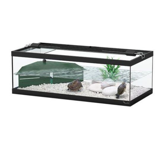 Εικόνα της Turtle tank Tortum 75  75x36x25 ---