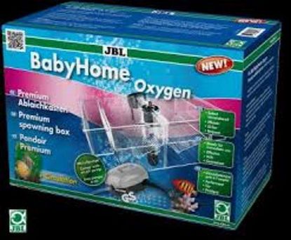 Εικόνα της JBL BabyHome OXYGEN+