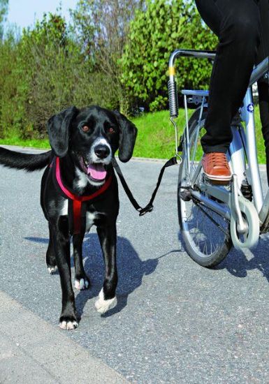 Εικόνα της Biker-Set for large dogs