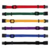 Εικόνα της Puppy collars, S–M: 17–25 cm/10 mm, 6 pcs, red, green, yellow, purple, blue, bla