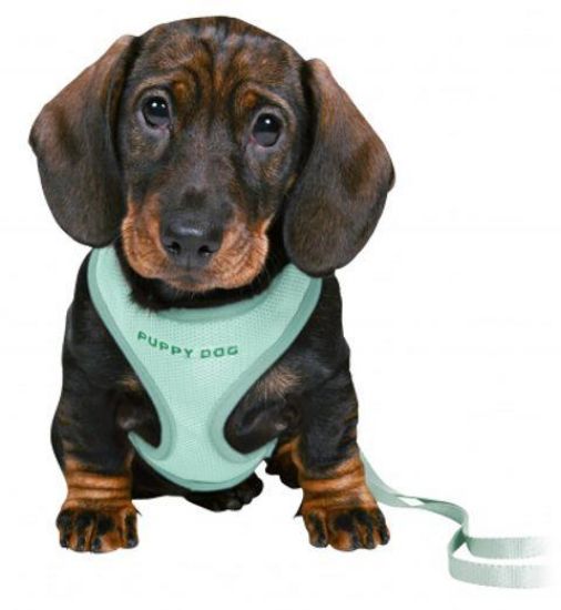 Εικόνα της Junior puppy soft harness with leash, 26–34 cm/10 mm, 2.00 m, mint