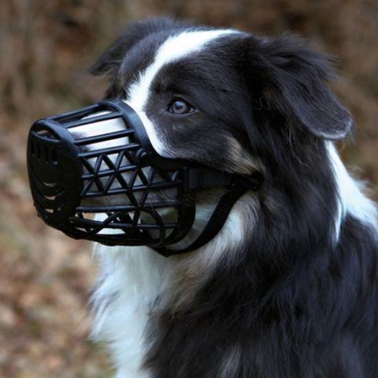 Εικόνα της Muzzle, plastic, XS, black 14cm