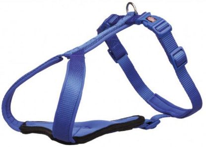 Εικόνα της Premium Y-harness, XXS–XS: 30–37 cm/10 mm, royal blue