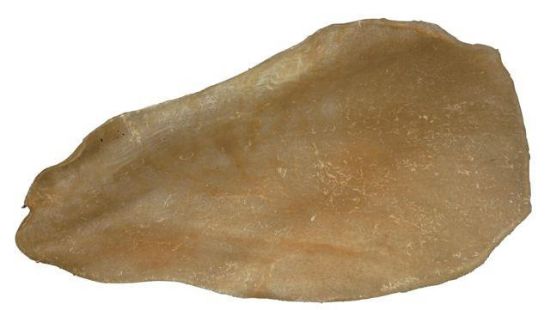 Εικόνα της 50 cow ears, dried