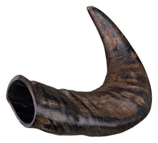 Εικόνα της Genuine buffalo chewing horn, medium