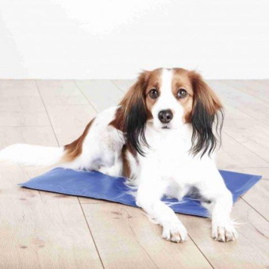 Εικόνα της Cooling mat, S: 40 × 30 cm, blue