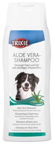 Εικόνα της Aloe Vera shampoo, 250 ml