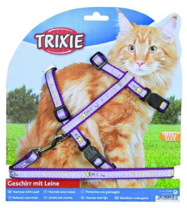 Εικόνα της Cat harness with leash, XXL, nylon, 34–57 cm/13 mm, 1.20 m