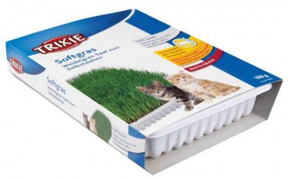 Εικόνα της Soft grass dish for kittens, bowl/approx. 100 g
