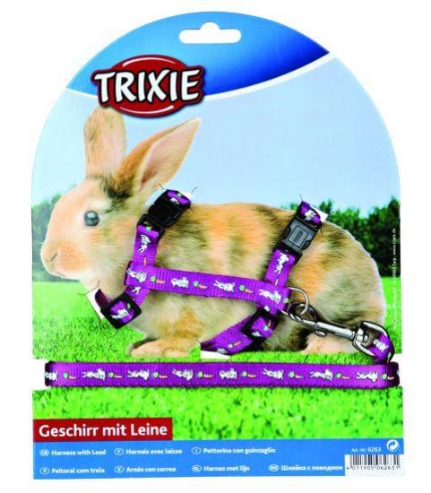 Εικόνα της Rabbit harness with lead, nylon, 25–44 cm/10 mm, 1.25 m