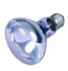 Εικόνα της Neodymium basking spot-lamp, ø 80 × 108 mm, 100 W