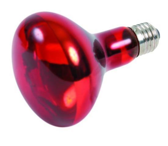 Εικόνα της Infrared heat spot-lamp, ø 80 × 108 mm, 100 W