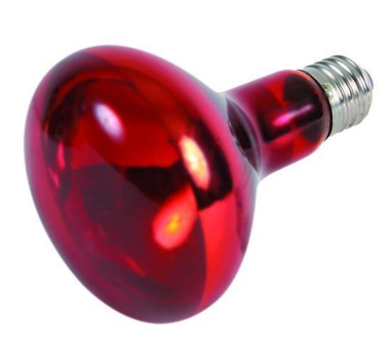 Εικόνα της Infrared heat spot-lamp, ø 95 × 130 mm, 150 W