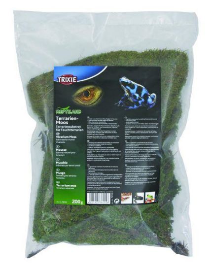 Εικόνα της Terrarium moss, substrate for humid terrariums, 200 g