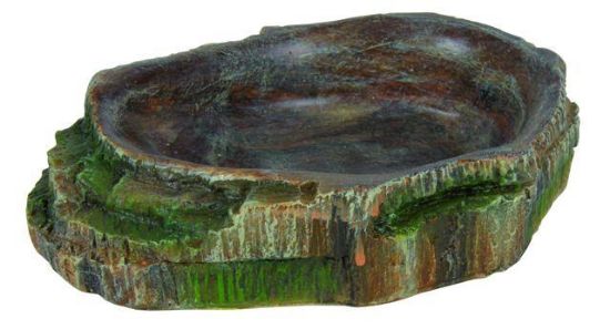 Εικόνα της Reptile water and food bowl, 10 × 2.5 × 7.5 cm