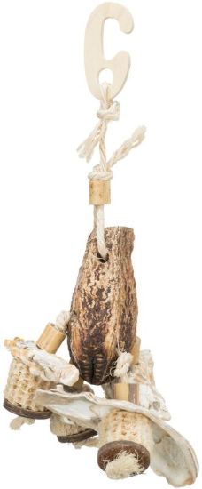 Εικόνα της Natural toy, mahogany pod/sea shells, 26 cm