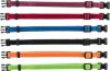 Εικόνα της Puppy collars, S–M: 17–25 cm/10 mm, 6 pcs, red, green, yellow, purple, blue, bla