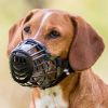 Εικόνα της Muzzle, plastic, M, black 20cm