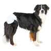 Εικόνα της Diapers for dogs, L, 12 pcs