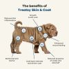 Εικόνα της Dog Chew Skin & Coat