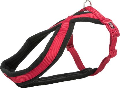 Εικόνα της Premium touring harness, XS–S: 30–55 cm/15 mm, red