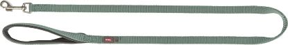 Εικόνα της Premium lead, XS–S: 1.20 m/15 mm, sage