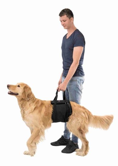 Εικόνα της Lifting aid, M: 60–65 cm, black