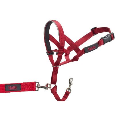 Εικόνα της HALTI HEADCOLLAR RED SIZE 1