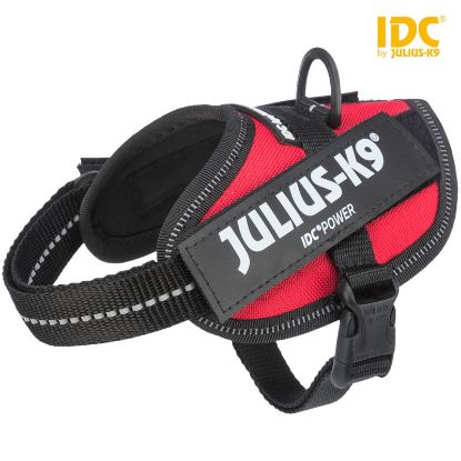 Εικόνα της IDC®Powerharness, 2XS/Baby 2: 33–45 cm/18 mm, RED