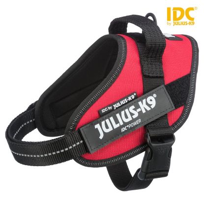 Εικόνα της IDC®Powerharness, XS/Mini-Mini: 40–53 cm/22 mm, RED