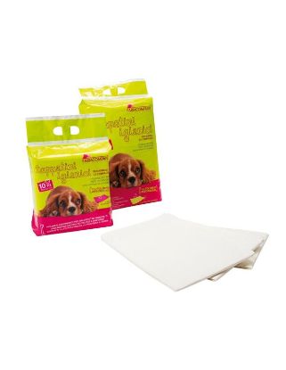 Εικόνα της FARM  HYGIENIC CARPETS 60X90 10PCS