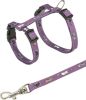 Εικόνα της Kitten harness with lead, nylon, 21–34 cm/8 mm, 1.20 m
