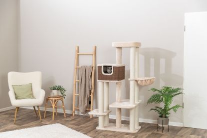 Εικόνα της Scratching tree Bertholo, 165 cm, cream/dark brown