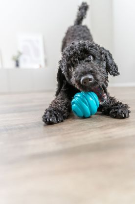 Εικόνα της Super Strong ball, TPR, ø 6 cm, petrol