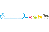 Εικόνα για την κατηγορία RAPA - DOG