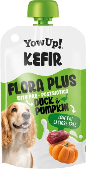 Εικόνα της KEFIR WITH DUCK AND PUMPKIN PRE+POSTBIOTICS (10pcs)