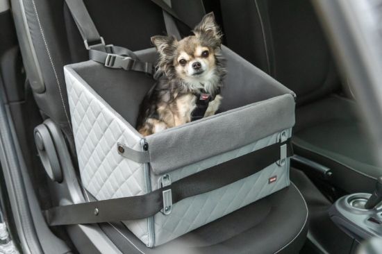 Εικόνα της Car seat, 32 × 28.5 × 41 cm, grey