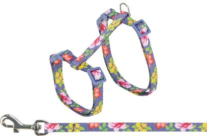Εικόνα της Cat harness with lead, flowers, 27–45 cm/10 mm, 1.20 m, various