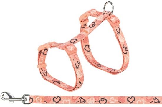 Εικόνα της Cat harness with lead, flower power, 35–59 cm/13 mm, 1.20 m, various