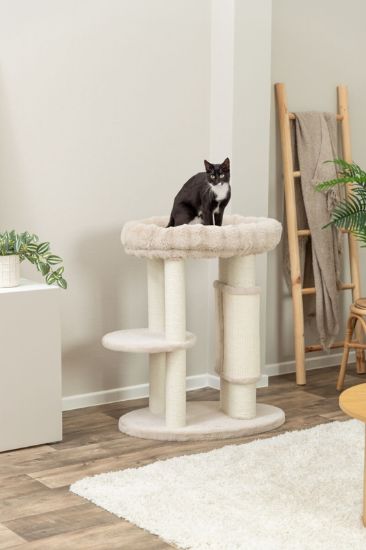 Εικόνα της Cat tree XXL Elli, 90 cm, cream